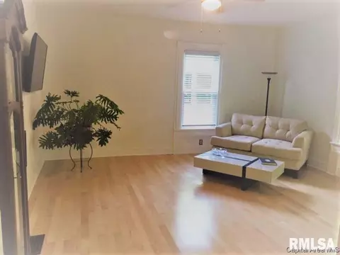 1151 N 3rd St, Springfield, IL 62702 photo 4
