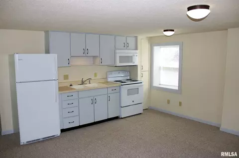 1715 Henry St, Springfield, IL 62702 photo 4