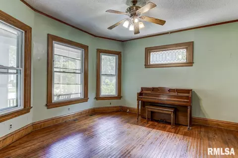 835 S Douglas Ave, Springfield, IL 62704 photo 7