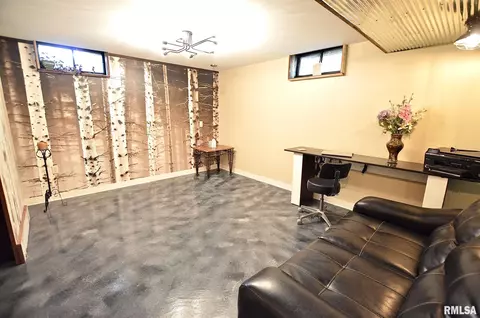 113 Circle Dr, Springfield, IL 62703 photo 36