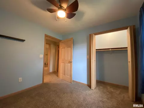 409 E Woods St, Avon, IL 61415 photo 26