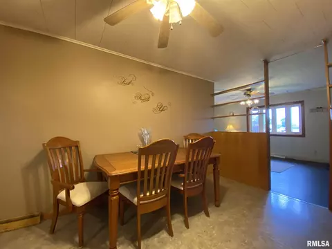 409 E Woods St, Avon, IL 61415 photo 20