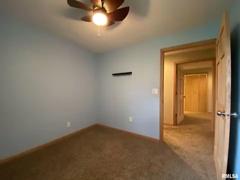 409 E Woods St, Avon, IL 61415 photo 27