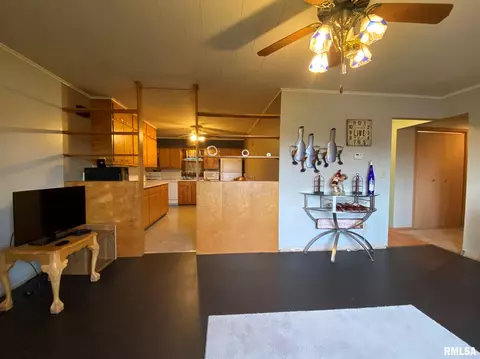 409 E Woods St, Avon, IL 61415 photo 14