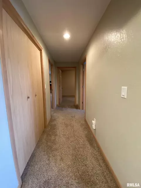 409 E Woods St, Avon, IL 61415 photo 24