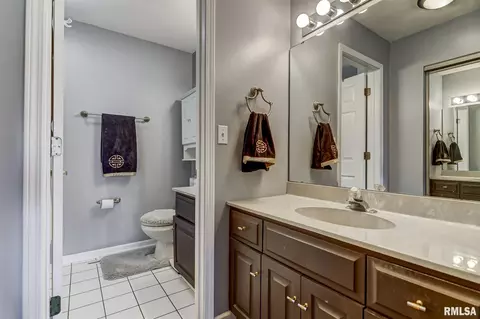 5007 Wildcat Run, Springfield, IL 62711 photo 23