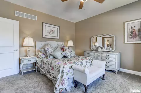 2604 Old Bachelor Trl, Springfield, IL 62711 photo 24