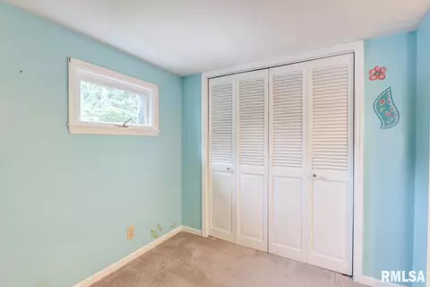 834 S Douglas Ave, Springfield, IL 62704 photo 26