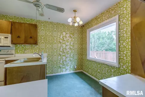 734 Bonanza Pass, Springfield, IL 62707 photo 12