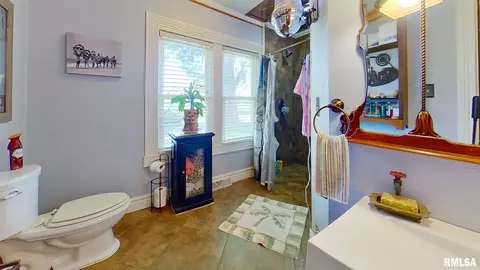 821 N Hill St, Springfield, IL 62702 photo 8