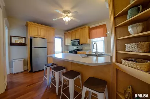 819 S Douglas Ave, Springfield, IL 62704 photo 17