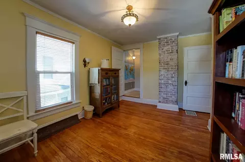 819 S Douglas Ave, Springfield, IL 62704 photo 20