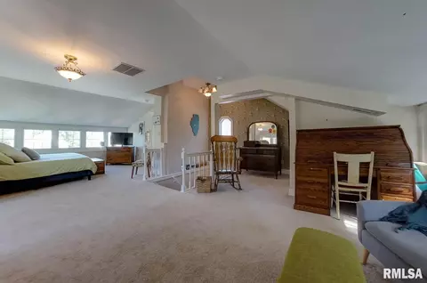 819 S Douglas Ave, Springfield, IL 62704 photo 27