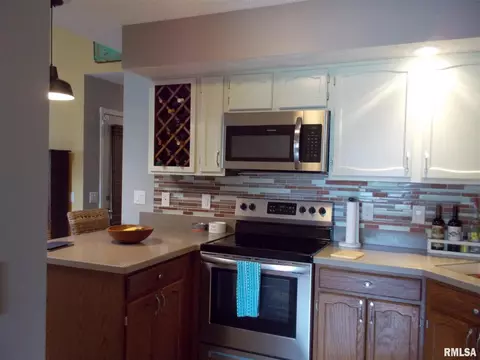 100 Calvin Ave, Springfield, IL 62704 photo 27