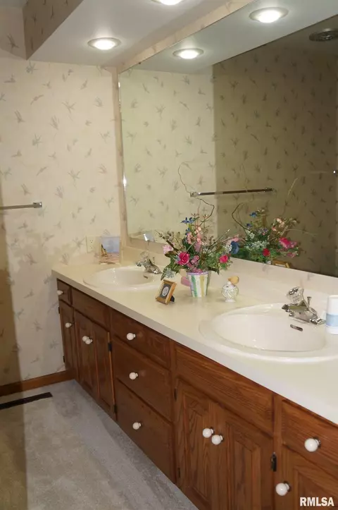 1301 Wood Mill Dr, Springfield, IL 62704 photo 18