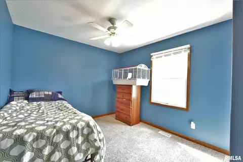 6322 Hayley Ct, Springfield, IL 62712 photo 25