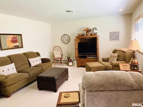 702 Cherry St, Abingdon, IL 61410 photo 17