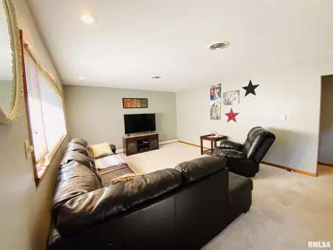 702 Cherry St, Abingdon, IL 61410 photo 7