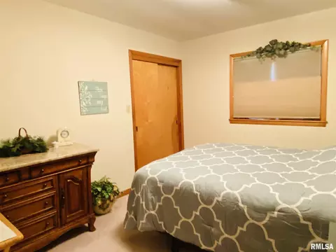 702 Cherry St, Abingdon, IL 61410 photo 24