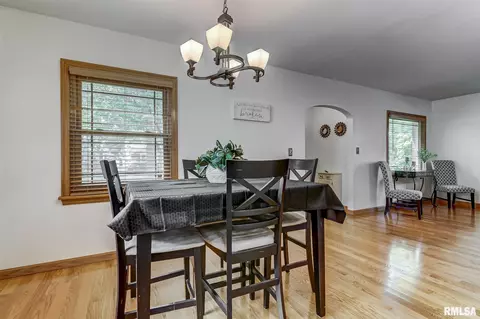 1608 S Park Ave, Springfield, IL 62704 photo 15