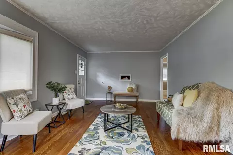 101 Circle Dr, Springfield, IL 62703 photo 9
