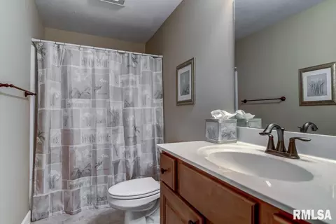 4907 Eden Ct, Springfield, IL 62711 photo 25
