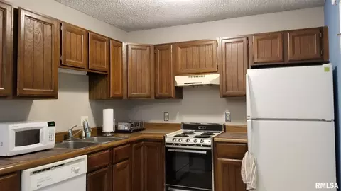 131 N Douglas Ave, Springfield, IL 62702 photo 6