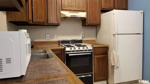 131 N Douglas Ave, Springfield, IL 62702 photo 7