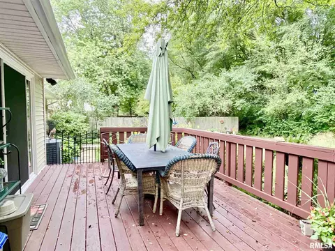 47 Sarah Ave, Springfield, IL 62703 photo 43