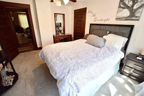 417 W Vine St, Springfield, IL 62704 photo 26