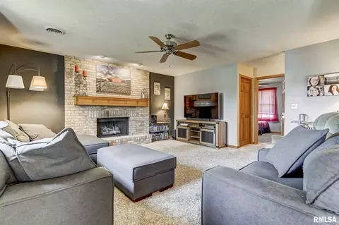 117 Dante Dr, Springfield, IL 62703 photo 3