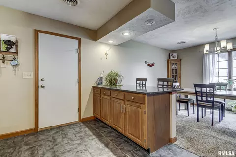 117 Dante Dr, Springfield, IL 62703 photo 13