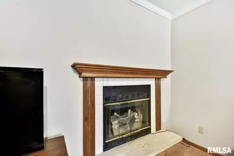 5216 Carlton St, Springfield, IL 62703 photo 10