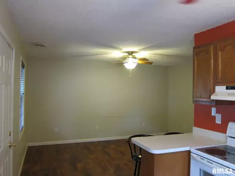 1224 N Patton St, Springfield, IL 62702 photo 10