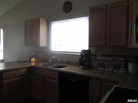 2944 Flowerbrook Ct, Springfield, IL 62702 photo 21