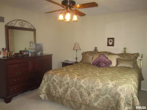 2944 Flowerbrook Ct, Springfield, IL 62702 photo 17