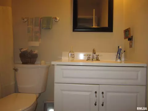 2944 Flowerbrook Ct, Springfield, IL 62702 photo 13