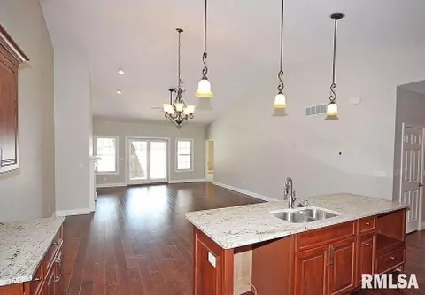 304 Harbor Point Pl, Springfield, IL 62712 photo 7