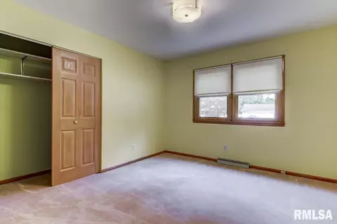 306 E Locust St, Chatham, IL 62629 photo 16