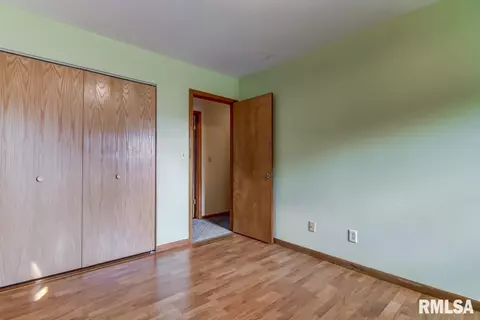 306 E Locust St, Chatham, IL 62629 photo 21
