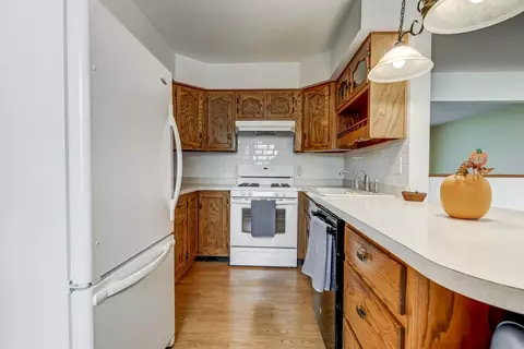 306 E Locust St, Chatham, IL 62629 photo 12
