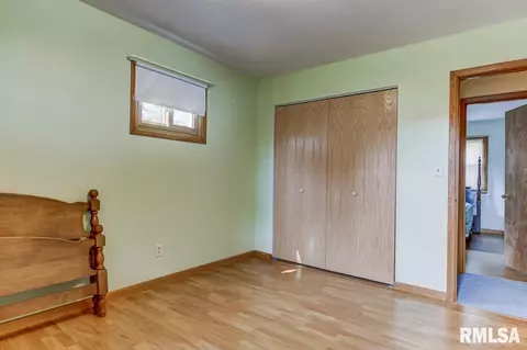 306 E Locust St, Chatham, IL 62629 photo 20