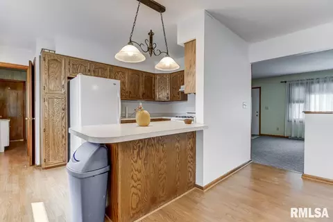 306 E Locust St, Chatham, IL 62629 photo 10