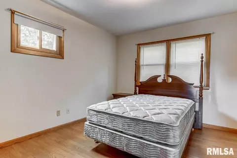 306 E Locust St, Chatham, IL 62629 photo 17
