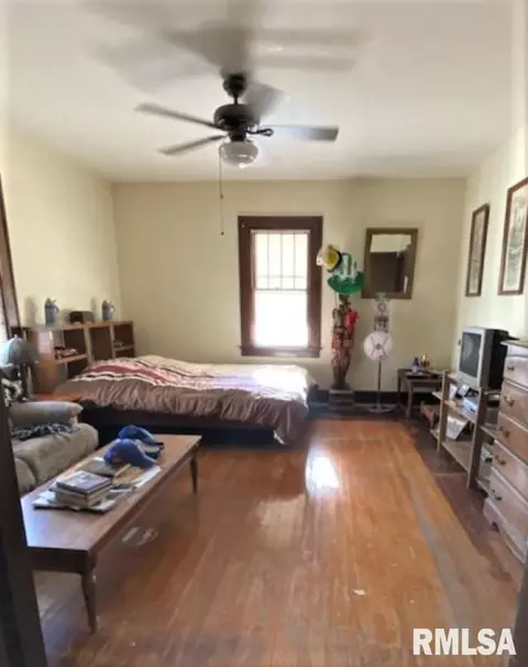 225 S Douglas Ave, Springfield, IL 62704 photo 13