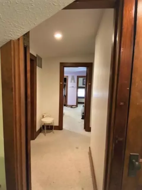 225 S Douglas Ave, Springfield, IL 62704 photo 23