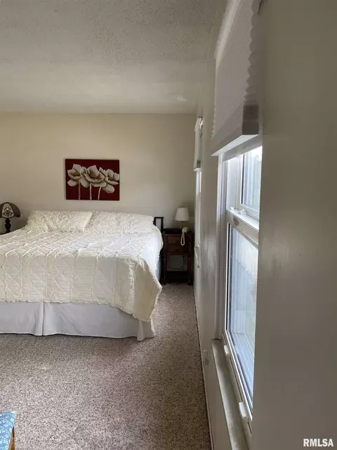 100 Veneto Villa Cul-de-sac, Springfield, IL 62703 photo 19