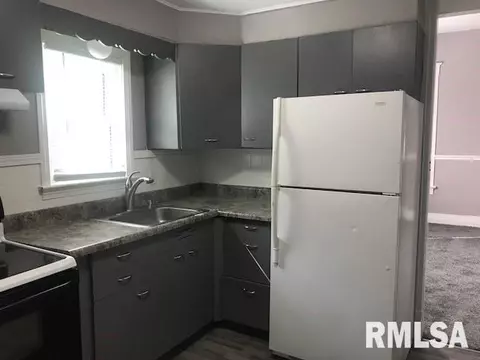 218 N Douglas Ave, Springfield, IL 62702 photo 11