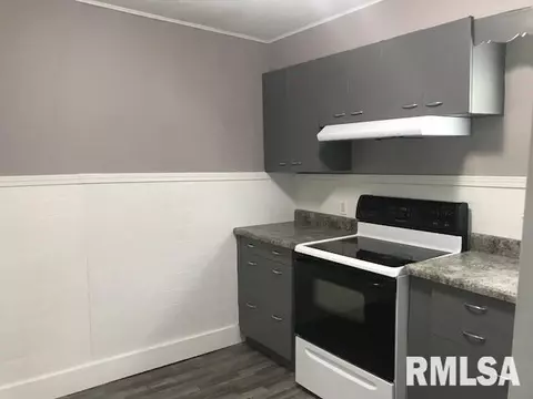 218 N Douglas Ave, Springfield, IL 62702 photo 10