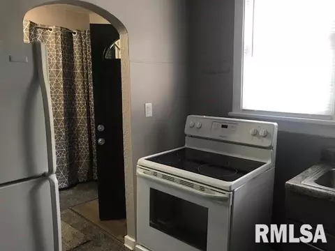 218 N Douglas Ave, Springfield, IL 62702 photo 13